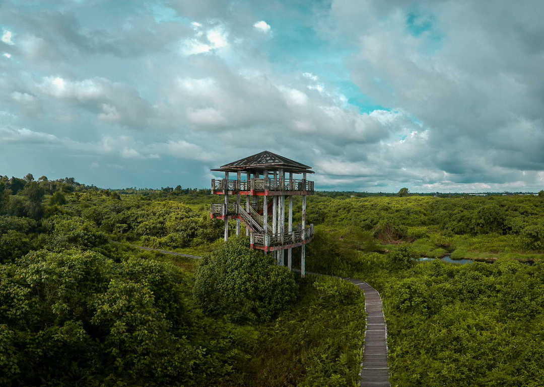 Bukit Lima Nature Reserve